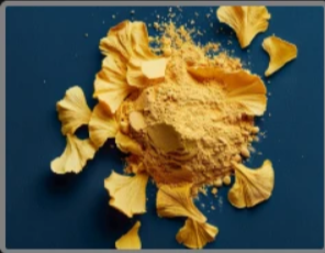 Ginkgo Biloba Powder