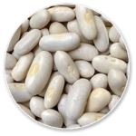 white kidney bean